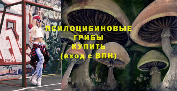 бошки Алексеевка