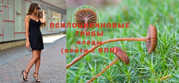 герыч Алексин