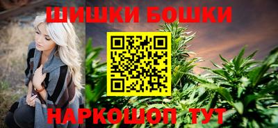стафф Кандалакша
