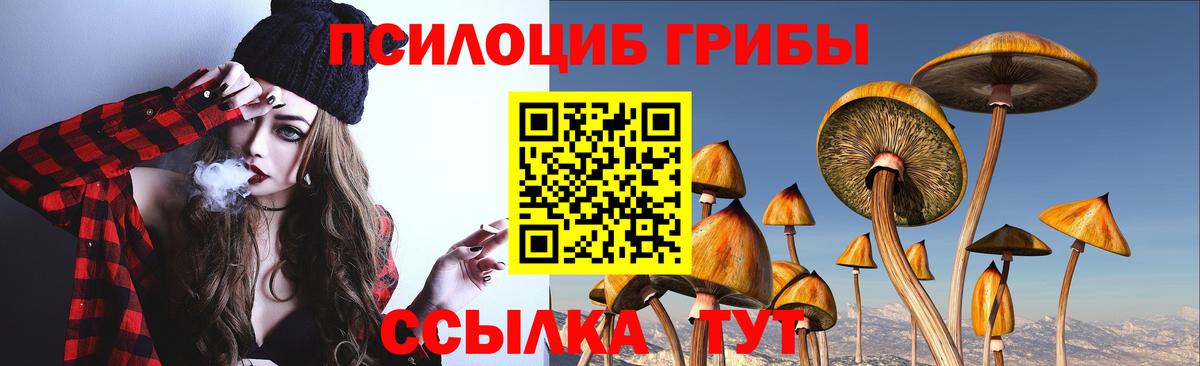 Галлюциногенные грибы прущие грибы  Вход с VPN  Кулебаки 